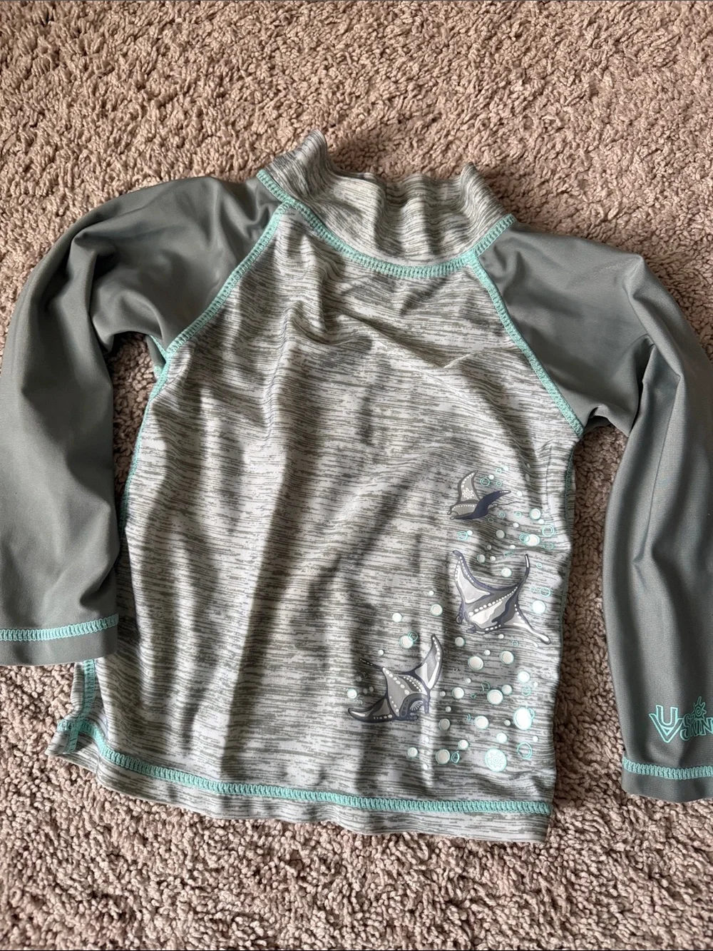 Boys' Mint & Gray Manta Ray Swim Trunks and Rash Guard Set